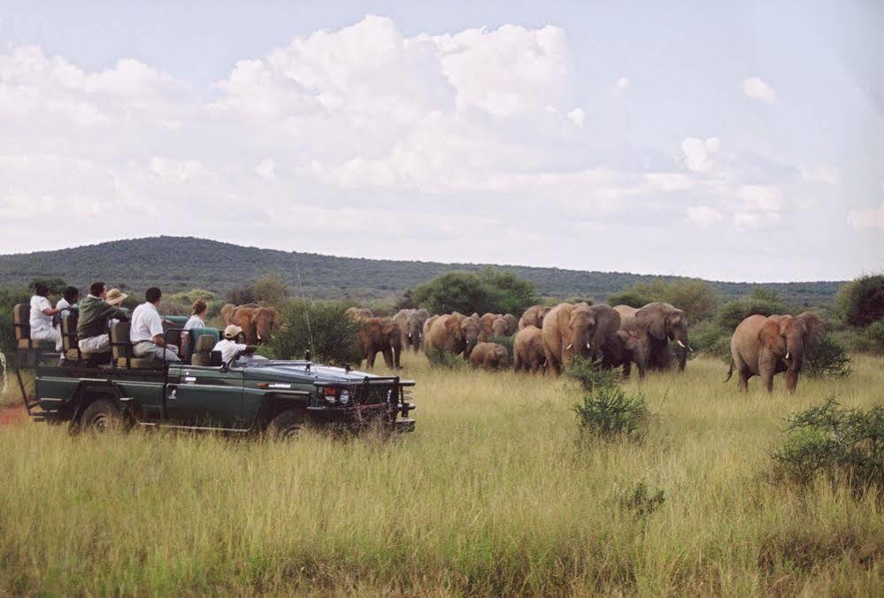 Sanctuary Makanyane Safari Lodge Madikwe Game Reserve Exterior photo